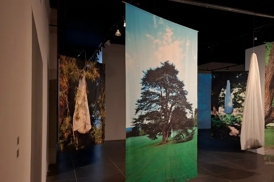 Florianópolis tem 10 exposições de arte gratuitas para visitar em outubro • Sul de Floripa