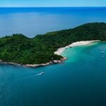 Projeto piloto de manejo reprodutivo de quatis é realizado na Ilha do Campeche