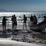 Santa Catarina reúne força econômica para avançar na Economia Azul - Do mar ao desenvolvimento