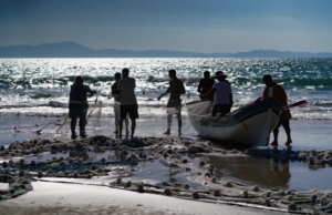 Santa Catarina reúne força econômica para avançar na Economia Azul - Do mar ao desenvolvimento